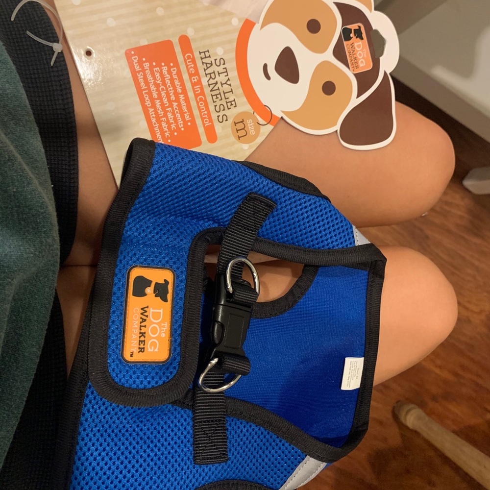 Dog Harness